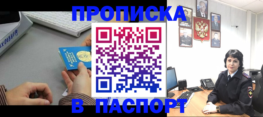 прописка в Сольцах